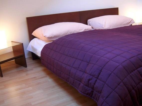 Residence Pinkas 布拉格 外观 照片